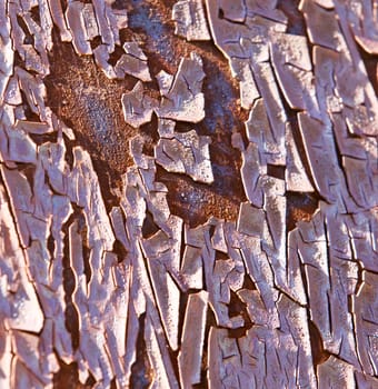 Beautiful pattern of the old peeled red painting on the rusty metal wall