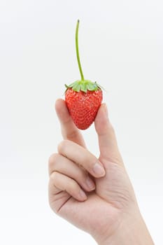 Strawberry in woman  hand isolated on white background