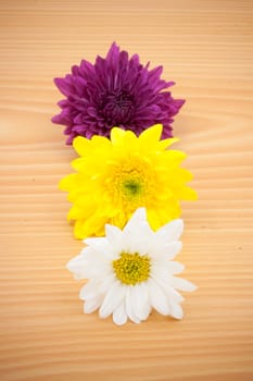 arrangement flower on wooden background