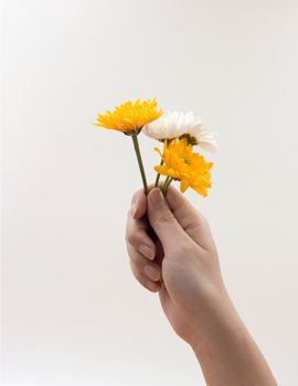 Woman hand holding a bunch of flowers On white background