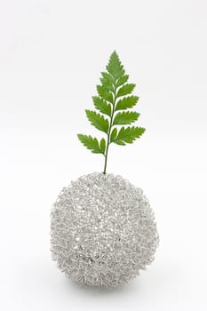 fern leaf in vase on white background