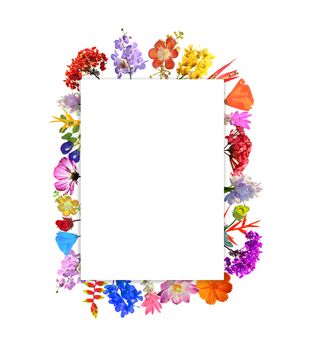 arrangement flower frame isolated on white background