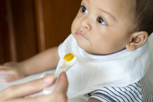 Eating mashed pumpkin from spoon of six month asian baby boy