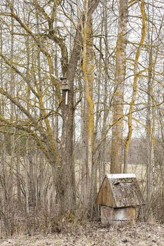 old water well near the trees and birdhouse in early spring
