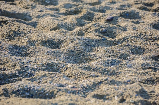 Sandy beach background. Selective focus on center.