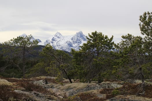 Nature, Mountains, Landscapes