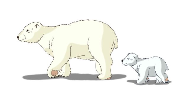 Digital painting of the Polar Bear
