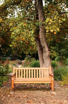 bench in autumn park