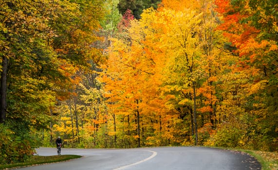 A cyclist rides on rural roads through colorful woods in late September.