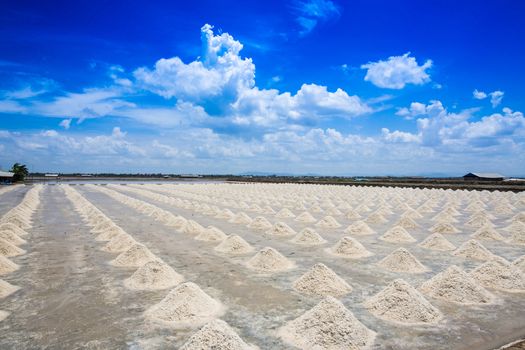 The salt industry is the largest salt  in Thailand. Phetchaburi Bang Tabun.