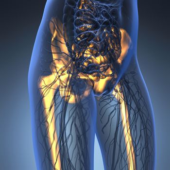 science anatomy of human body in x-ray with glow skeleton bones