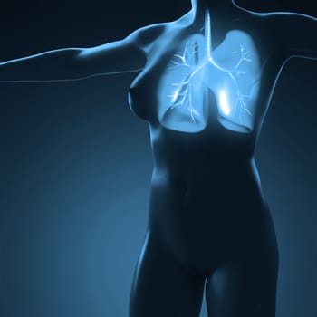 science anatomy of human body with glow lungs