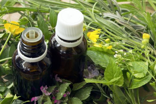 Alternative medicine concept.Bottles with organic essential aroma oil from wildflowers plants