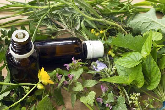  Herbs for medicine. Alternative medicine concept 
