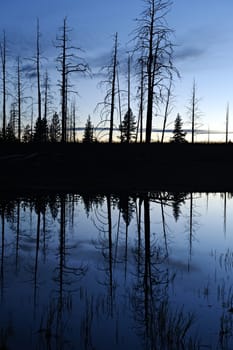 Silhouet reflection in a pond in Yellowstone National Park, after sunset.