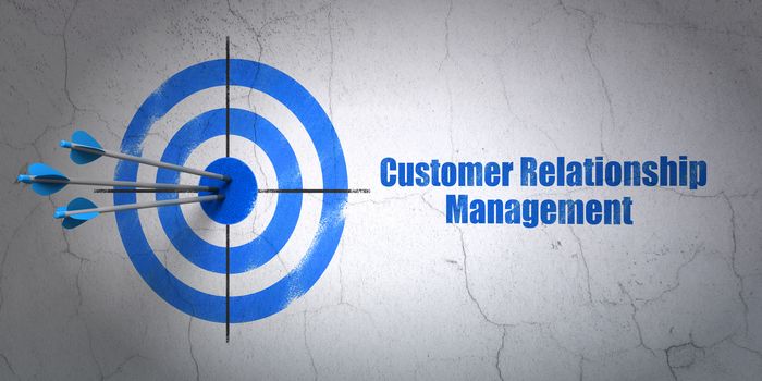 Success advertising concept: arrows hitting the center of target, Blue Customer Relationship Management on wall background, 3D rendering