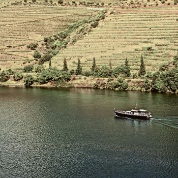 Vineyards in the Valley of the River Douro, Portugal, Vintage Style Toned Picture