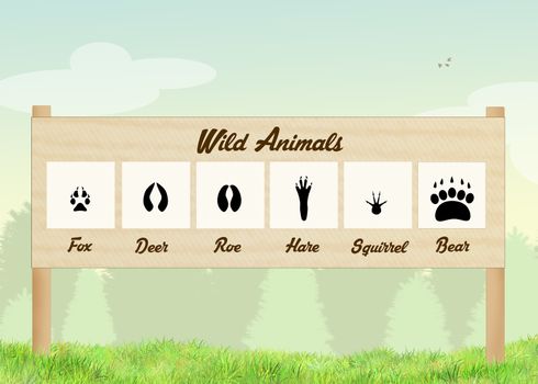 illustration of footprints of wild animals