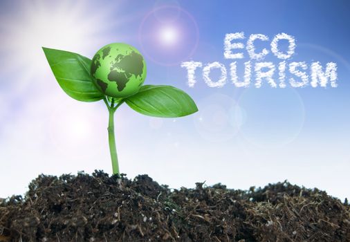 Eco tourism word cloud next to a small green world growing from a seedling 