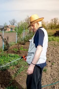 Elderly farmer with hat watering crops in early spring