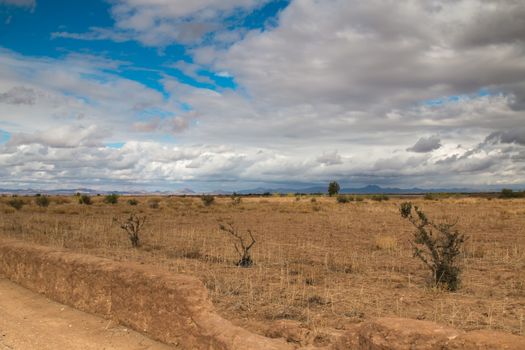 Field in the autumn. Just several argan bushes and trees. Mountains in the background. Stormy cloudy sky.