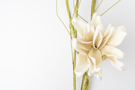 Elegant spring flower, fake gardenia on white background. For wedding background image.