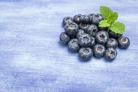 Fresh blueberries and mint leaf on rustic textured background with copy space