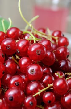 A handful of ripe red currants closeup