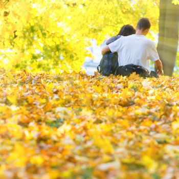 Young happy couple sitting in the autumn park with yellow trees