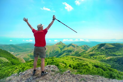 Young happy man with hiking stick standing on the rock with raised hands and looking to green landscape