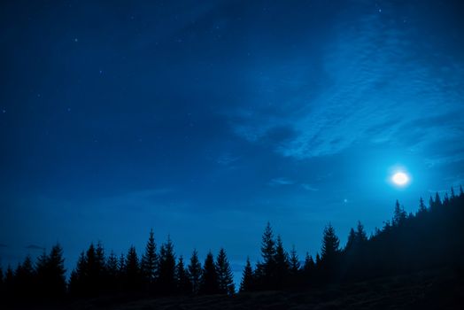 Forest of pine trees under moon and blue dark night sky with many stars. Space background