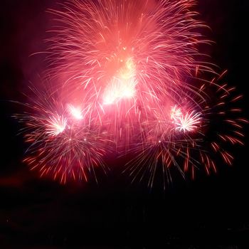 Colorful fireworks on the black sky background