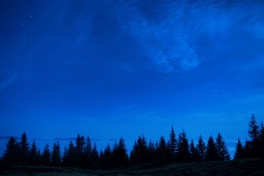 Forest of pine trees under blue dark night sky with many stars. Space background