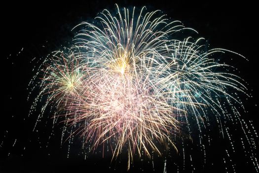 Red and purple colorful holiday fireworks on the black sky background.