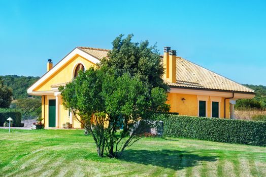 Cozy house with garden, trees and green lawn