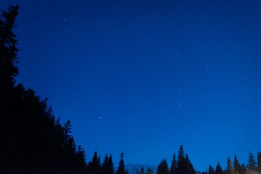 Forest under blue dark night sky with many stars. Space background