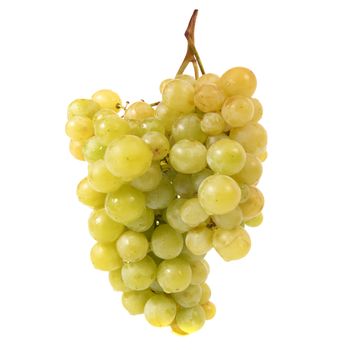 Bunch of ripe grapes isolated on white background