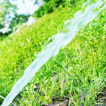 Sprinkler watering fresh green lawn grass in the summer garden under morning sunlight