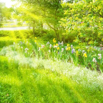 Green urban park with green trees, flowerbed, grass and shining sun