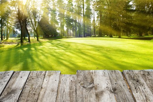 View from wooden surface to green park with trees under shining sun