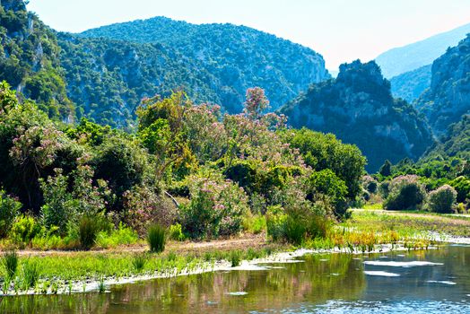 Beautiful landscape on the lake coast with flowers, green grass and mountains on background