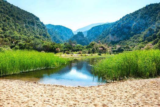 Beautiful landscape on the lake coast with flowers, green grass and mountains on background