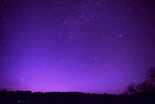 Beautiful purple night sky with many stars above the forest. Milkyway space background