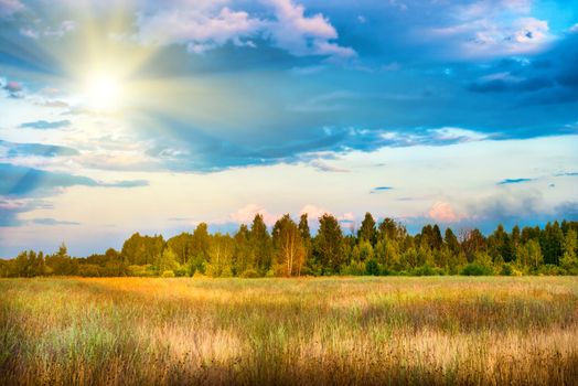 Beautiful field and forest with shining sun at sunset time. Countryside landscape