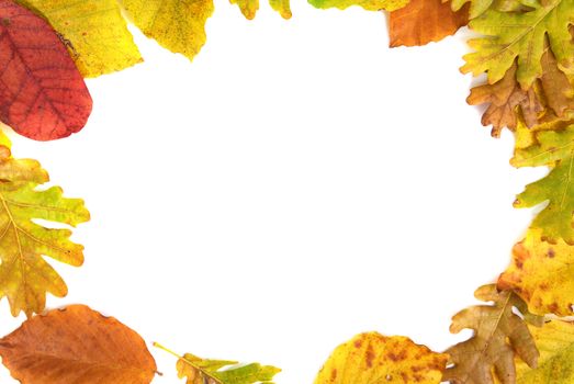 Frame from the autumn leaves isolated on white background