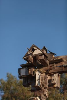 A cluster of birdhouses reside over a garden in Southern California.