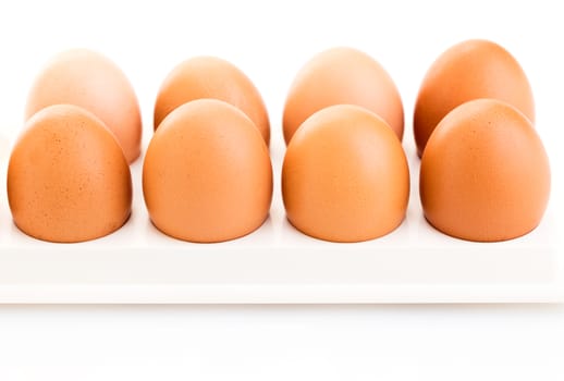brown chicken eggs on the a white background