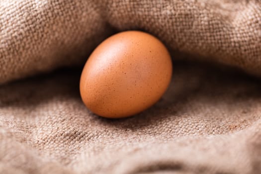 brown chicken egg closeup on a vintage background