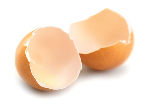 egg shell closeup isolated on white background