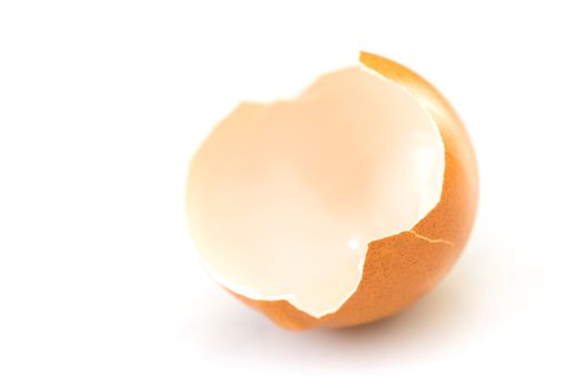 egg shell closeup isolated on white background